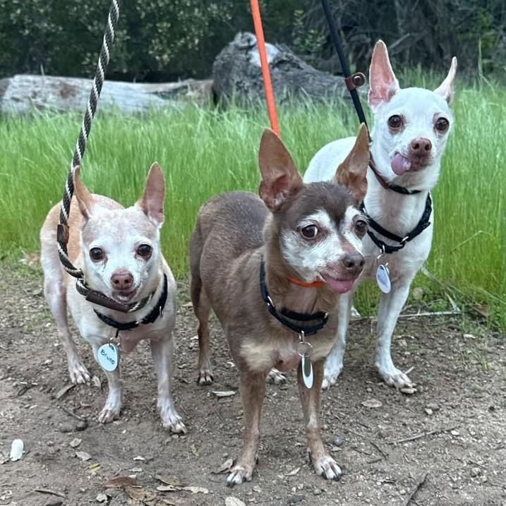 Donna — thumbnail 6