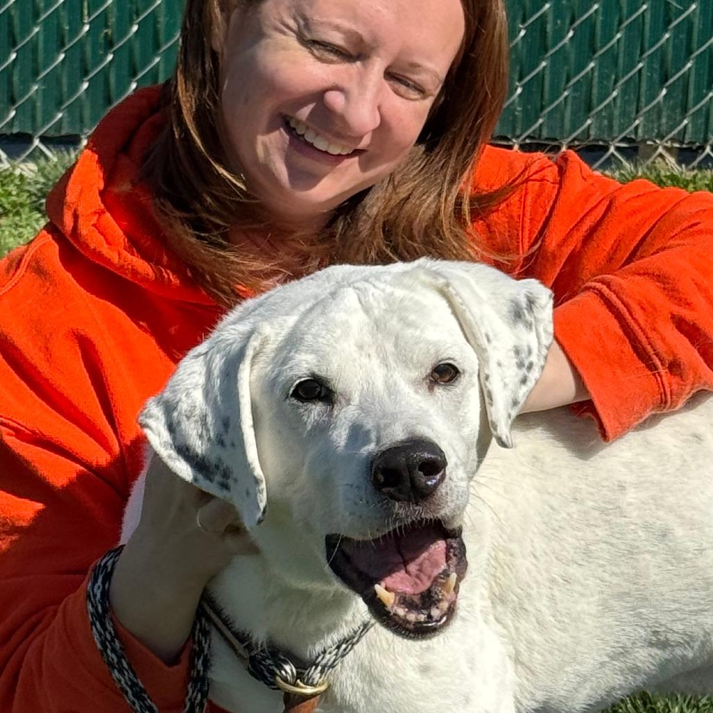 Enlarge Vinnie, a Adoptable Mixed Breed in Nashville, IN image 3/6