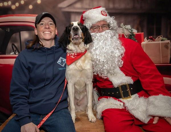 Oliver, Adoptable, Young Male Australian Shepherd & Hound.