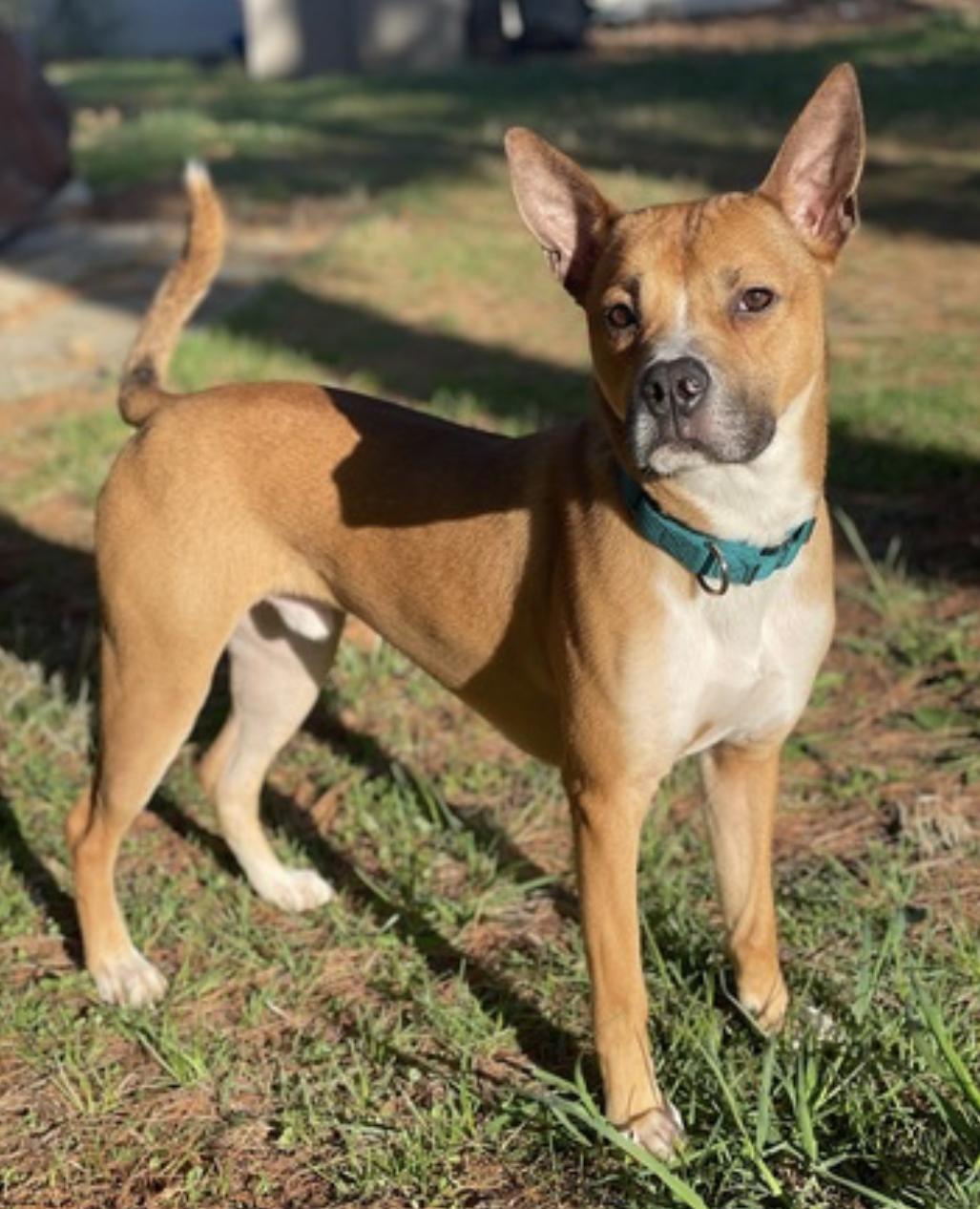 Marvel — thumbnail 3