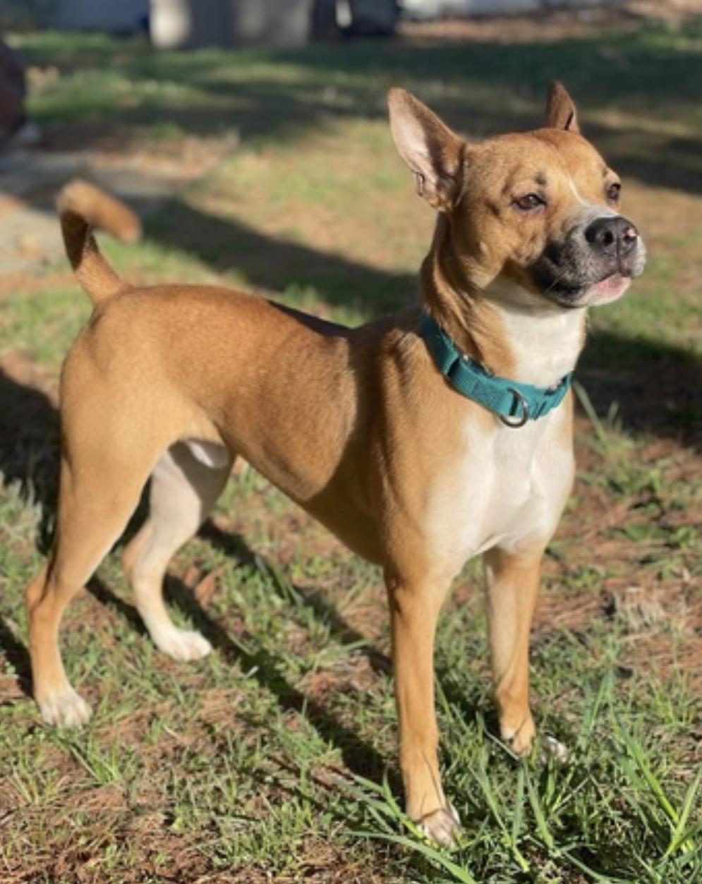 Marvel — thumbnail 4