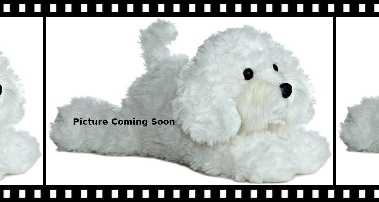 Enlarge Harper - OK, a ADOPTABLE Bichon Frise in Tulsa, OK image 1/1