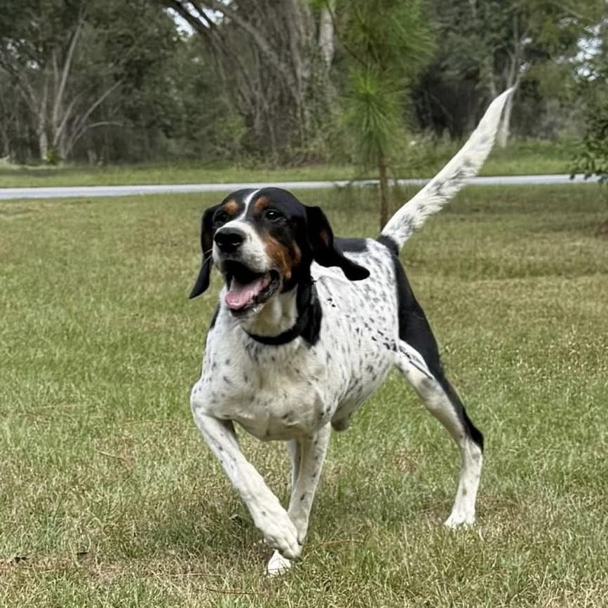 Leroy — thumbnail 2