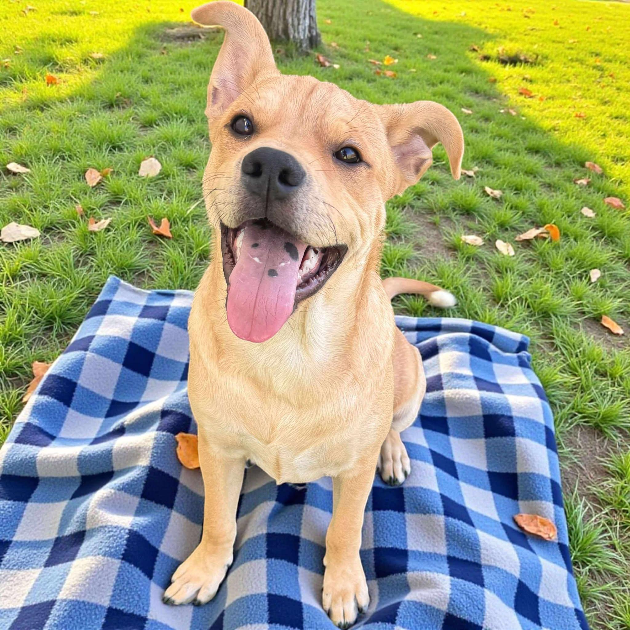 Charlie