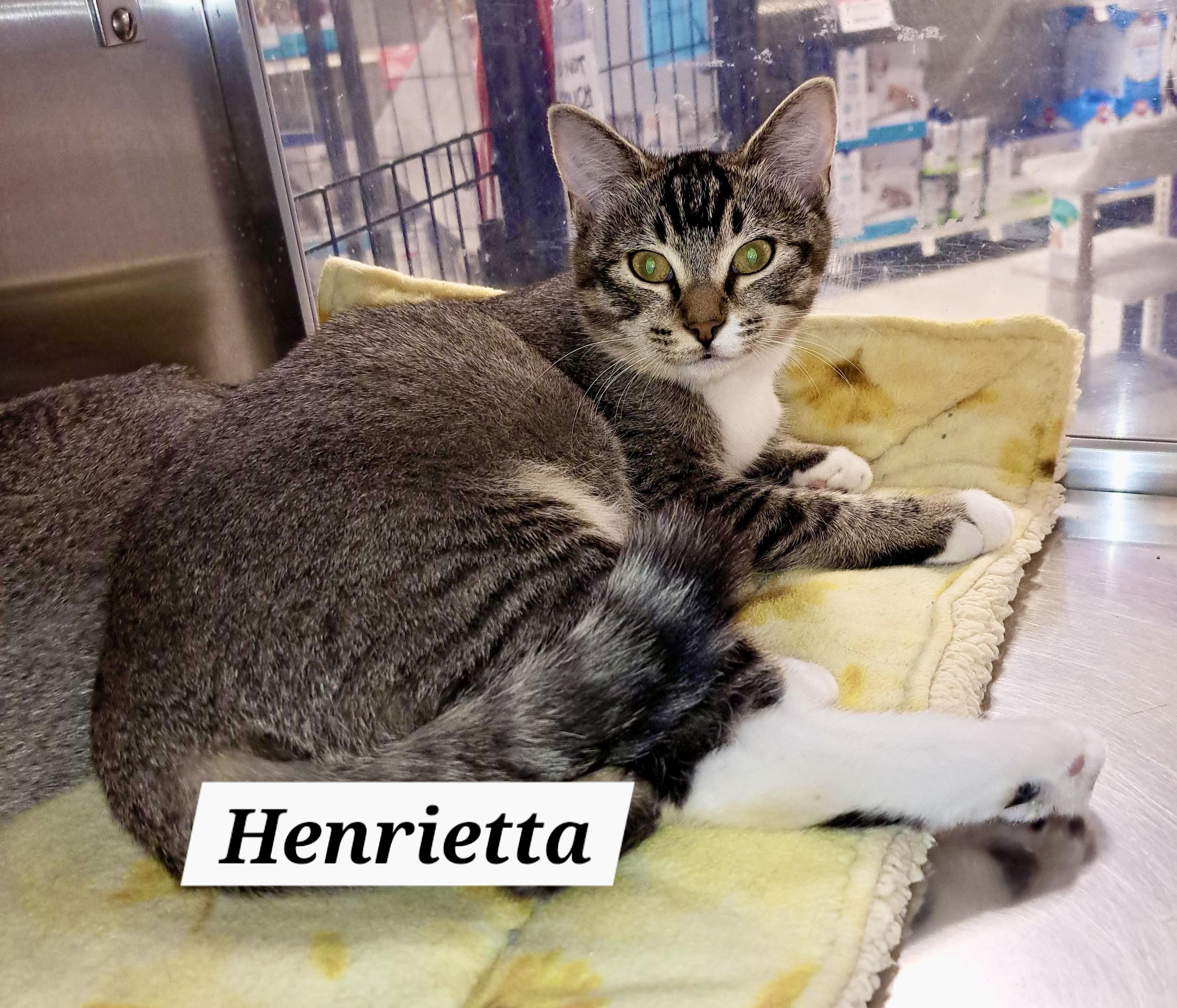 Henriettac