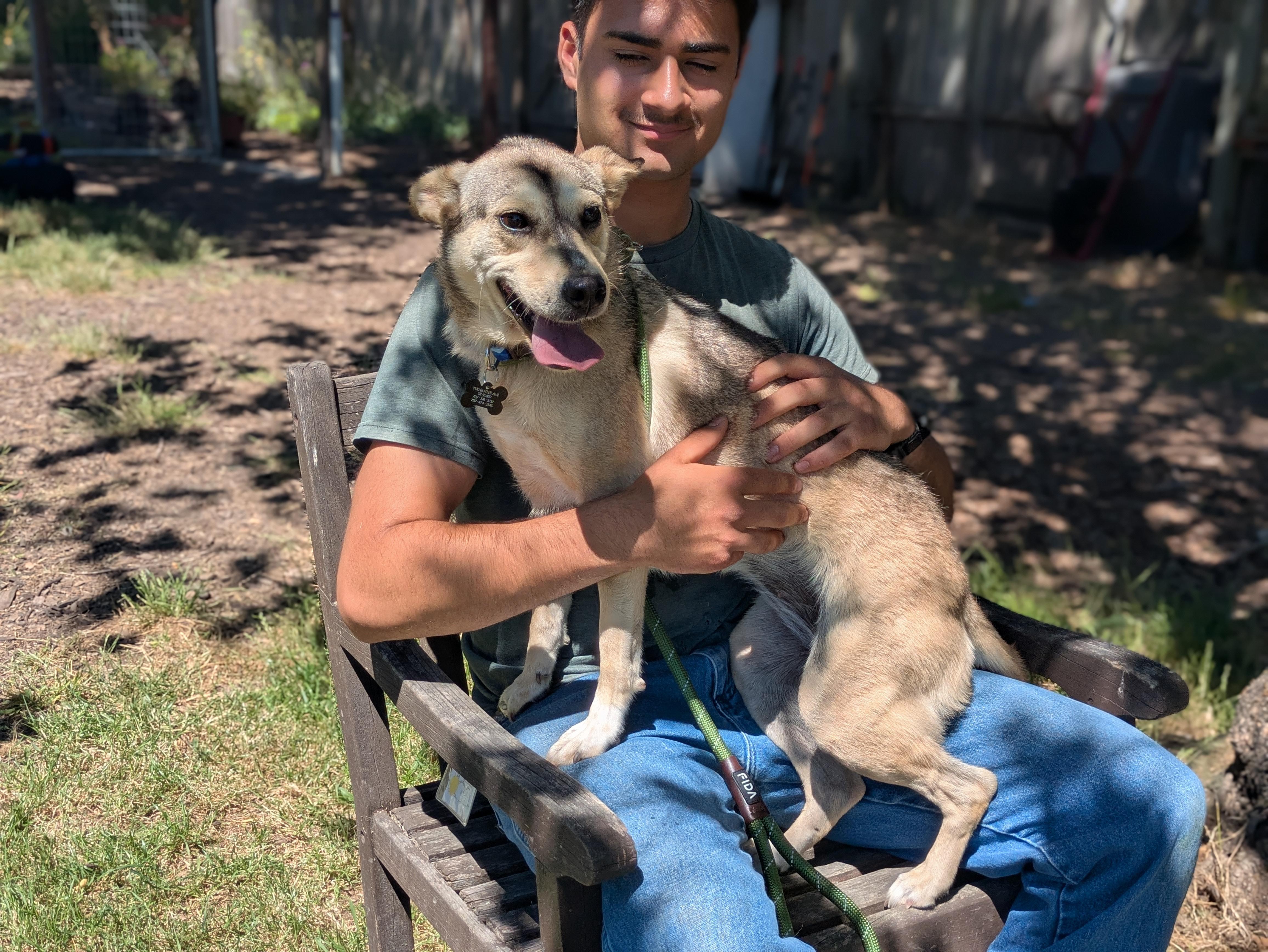 Tulip, a ADOPTABLE mixed breed in Santa Rosa, CA image 3/6