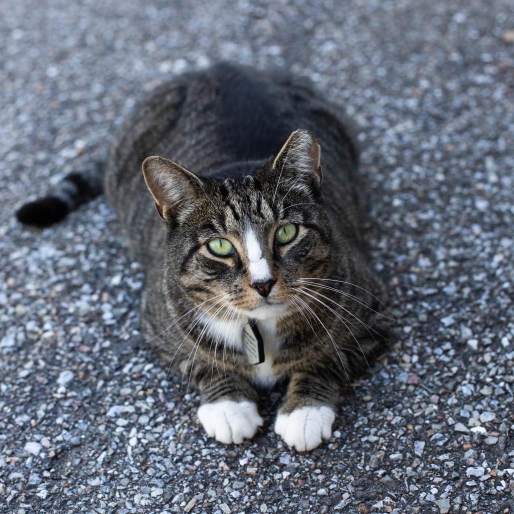 Devon — thumbnail 5