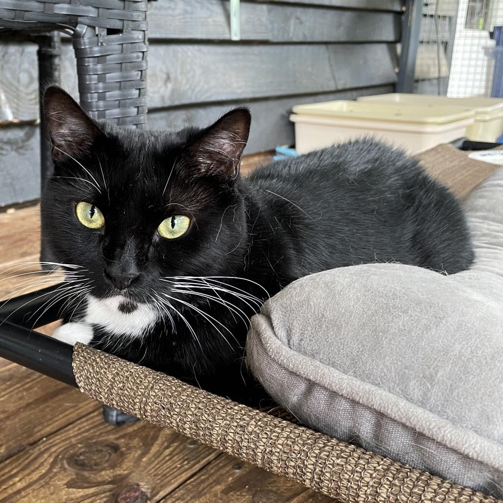 Darla — thumbnail 3