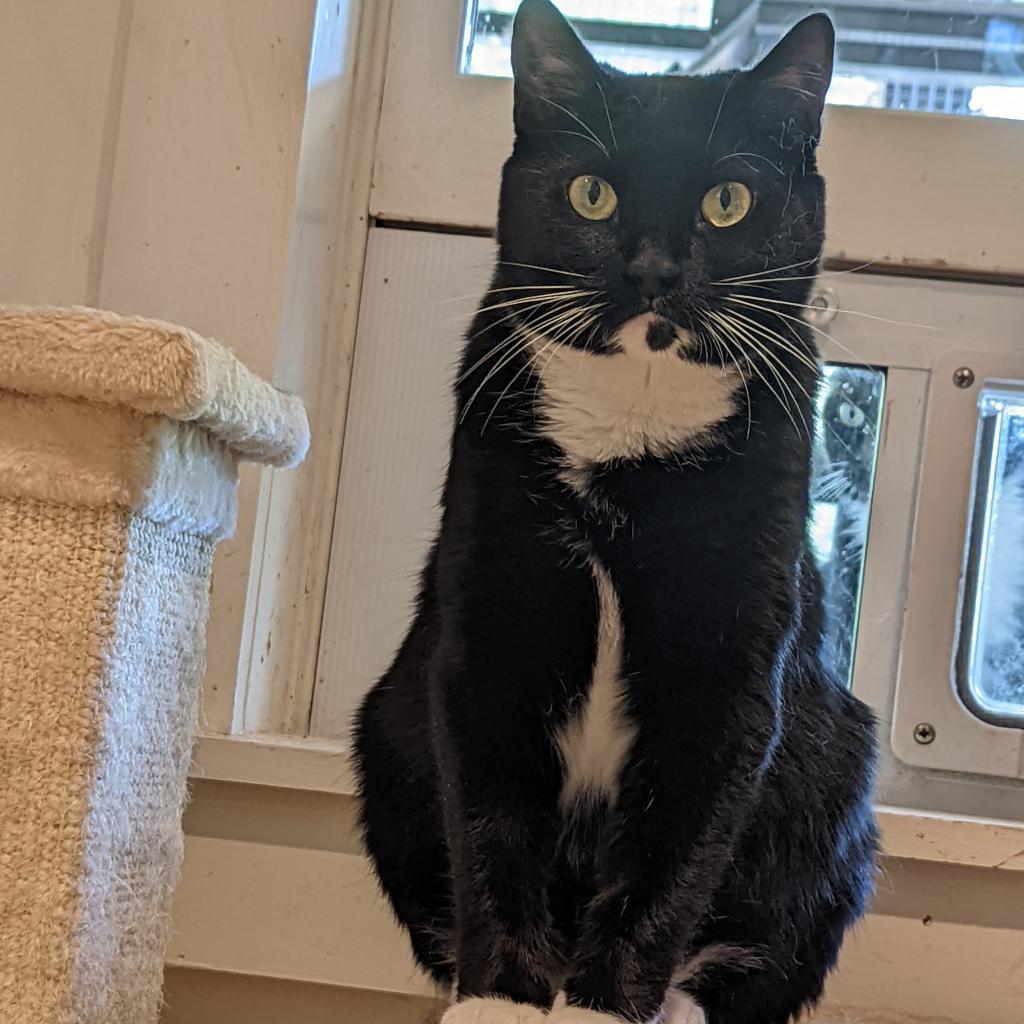 Darla — thumbnail 6