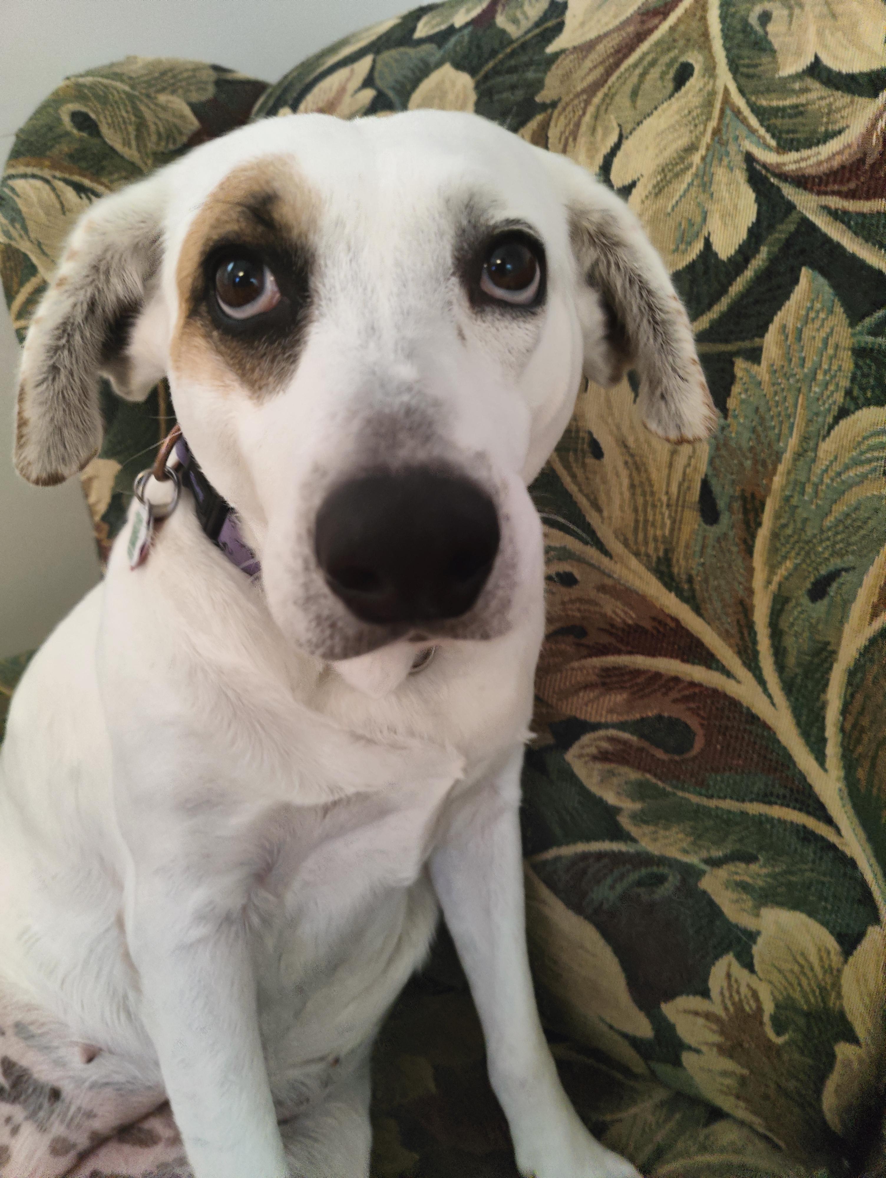 Maggie
