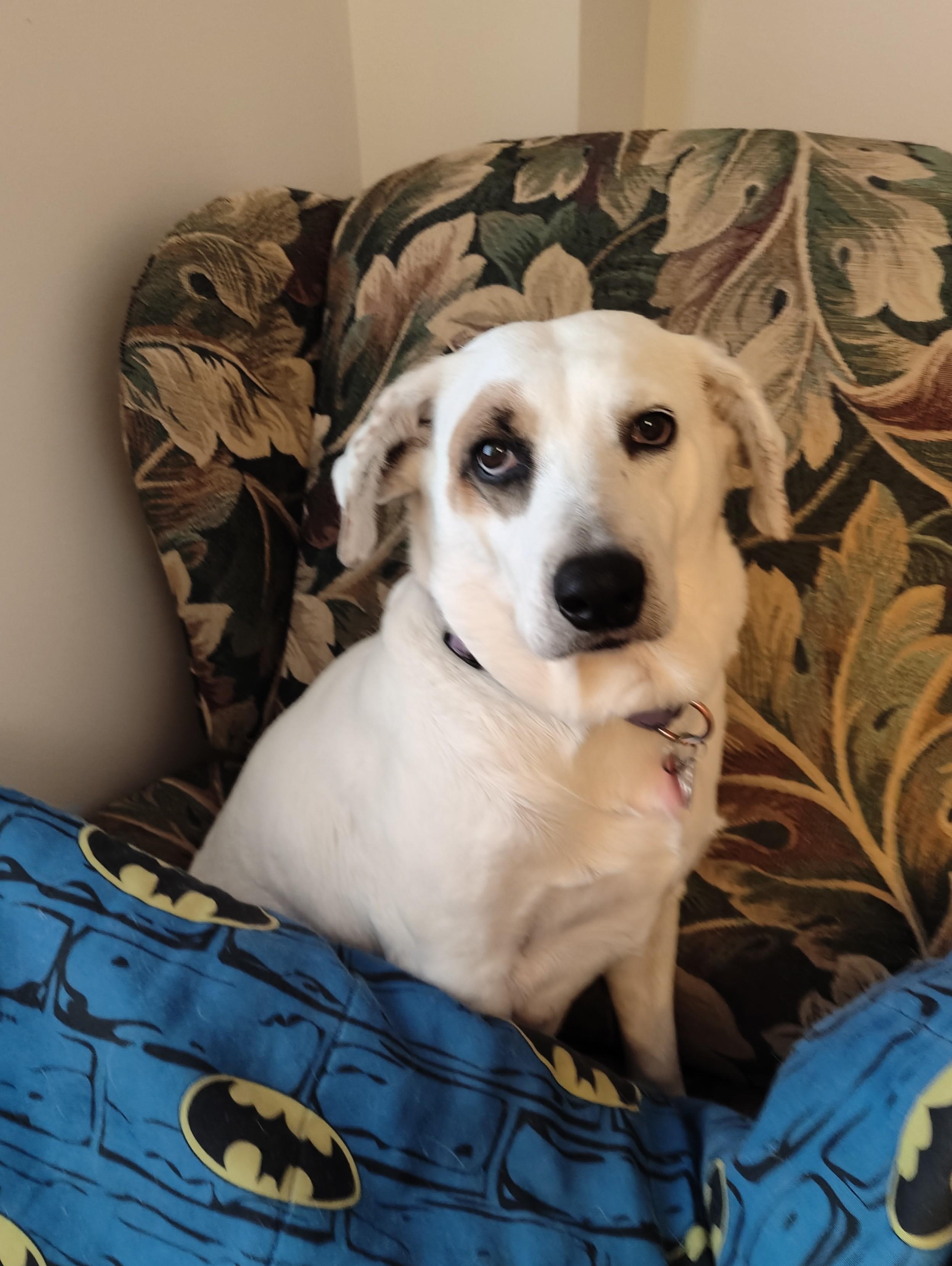Maggie 2