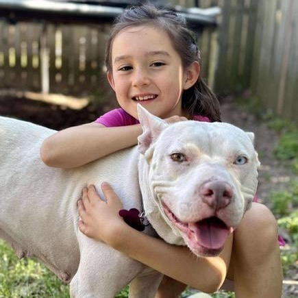Jazzy, an adoptable American Staffordshire Terrier in Aberdeen, SD, 57401 | Photo Image 2