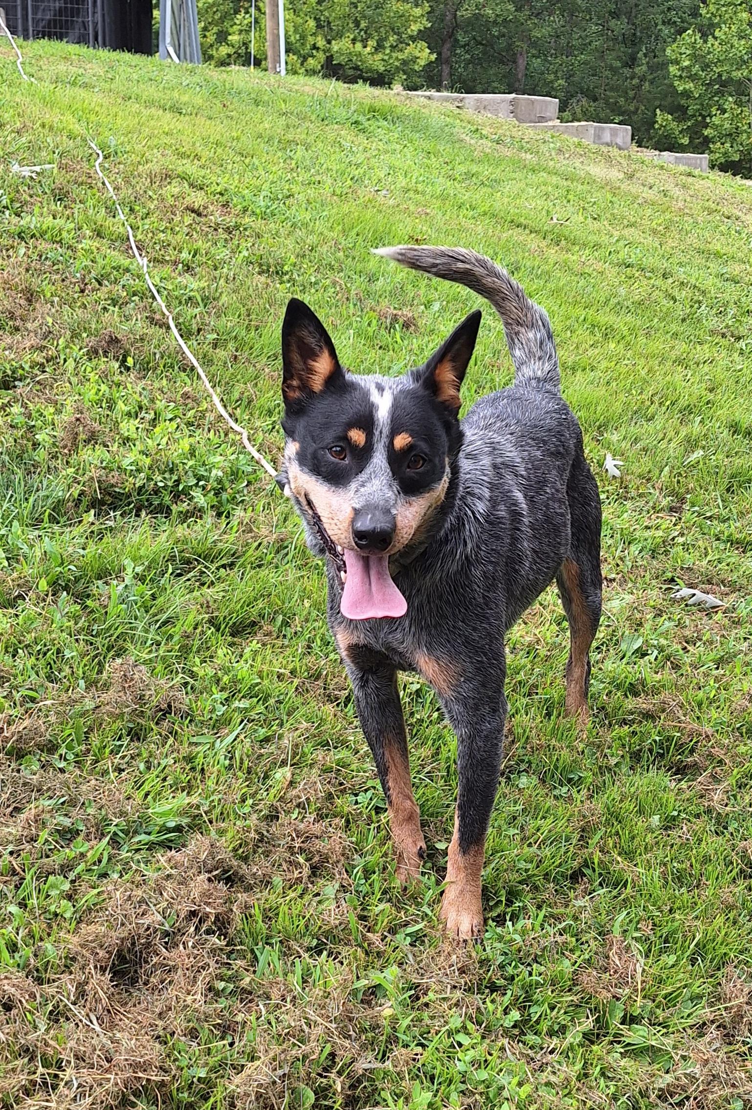 Sally - a real treat!