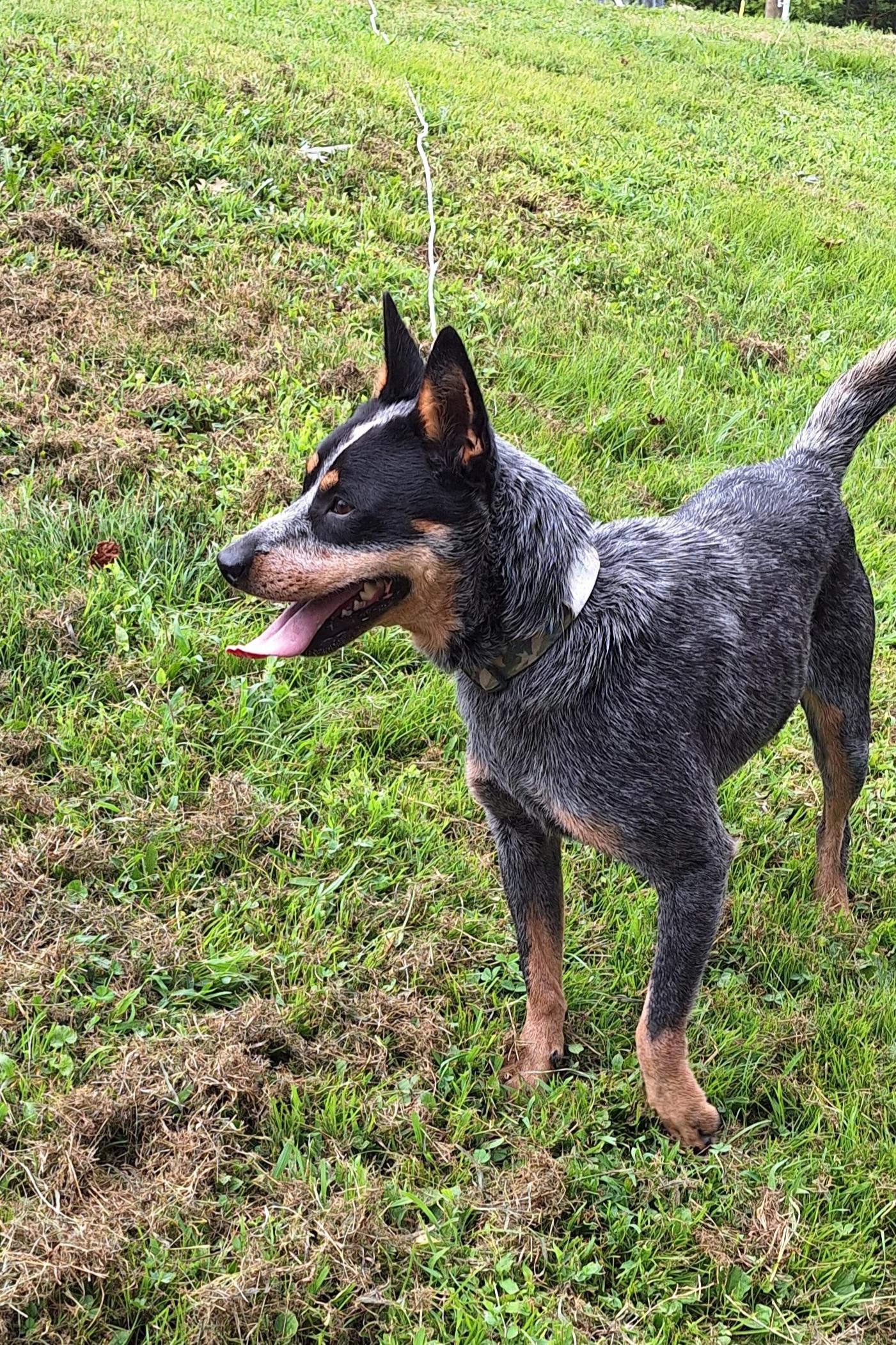 Sally - a real treat!