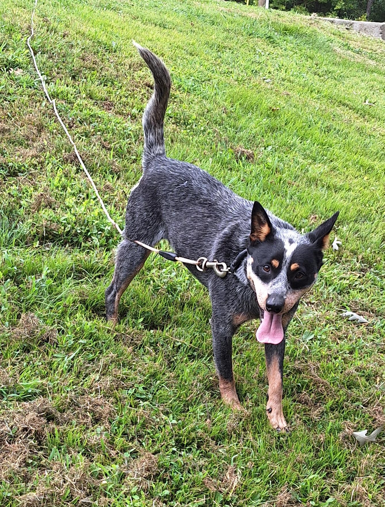 Sally - a real treat!