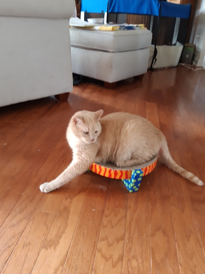 Arlo, Senior Male unknown