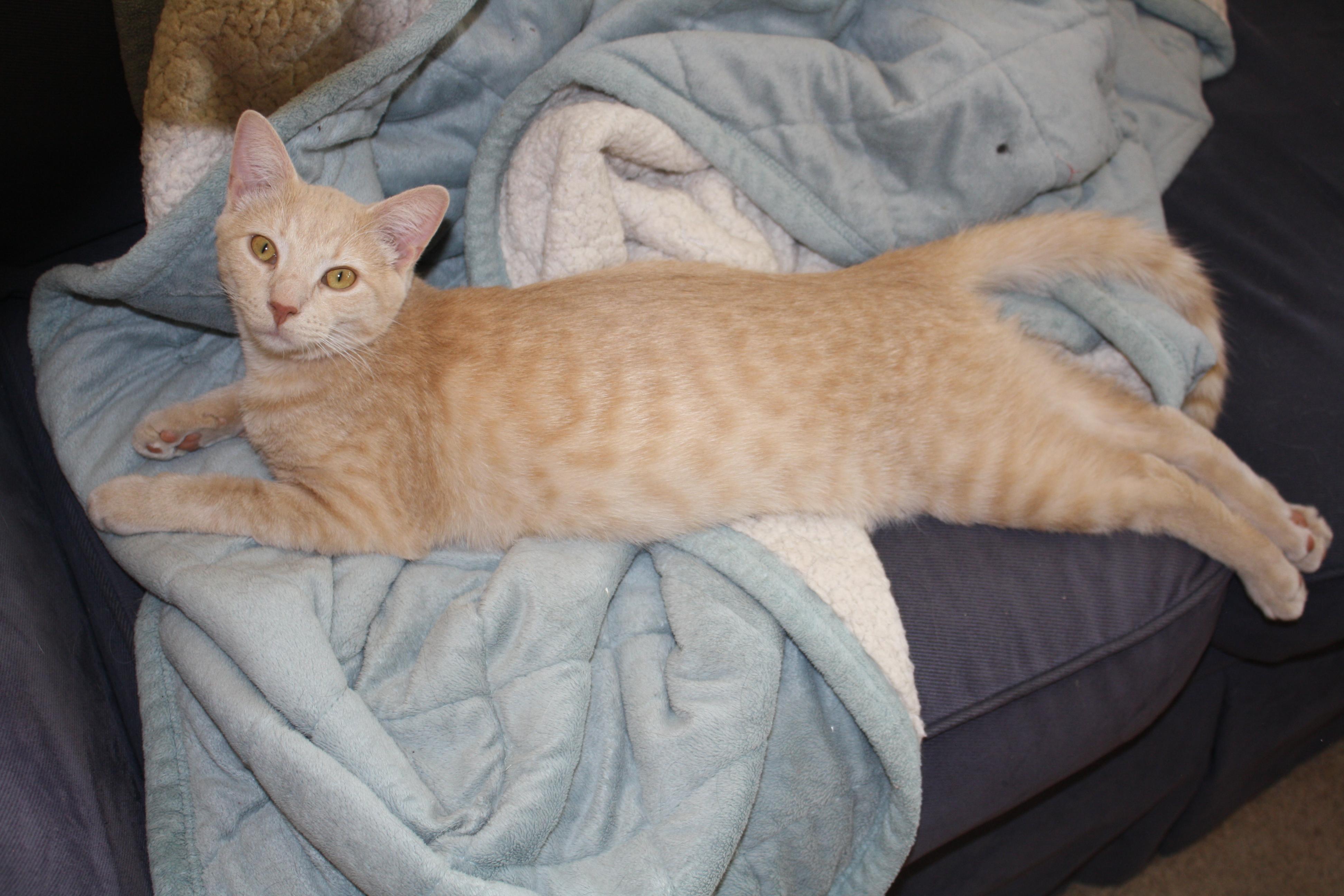 Arlo photo 2