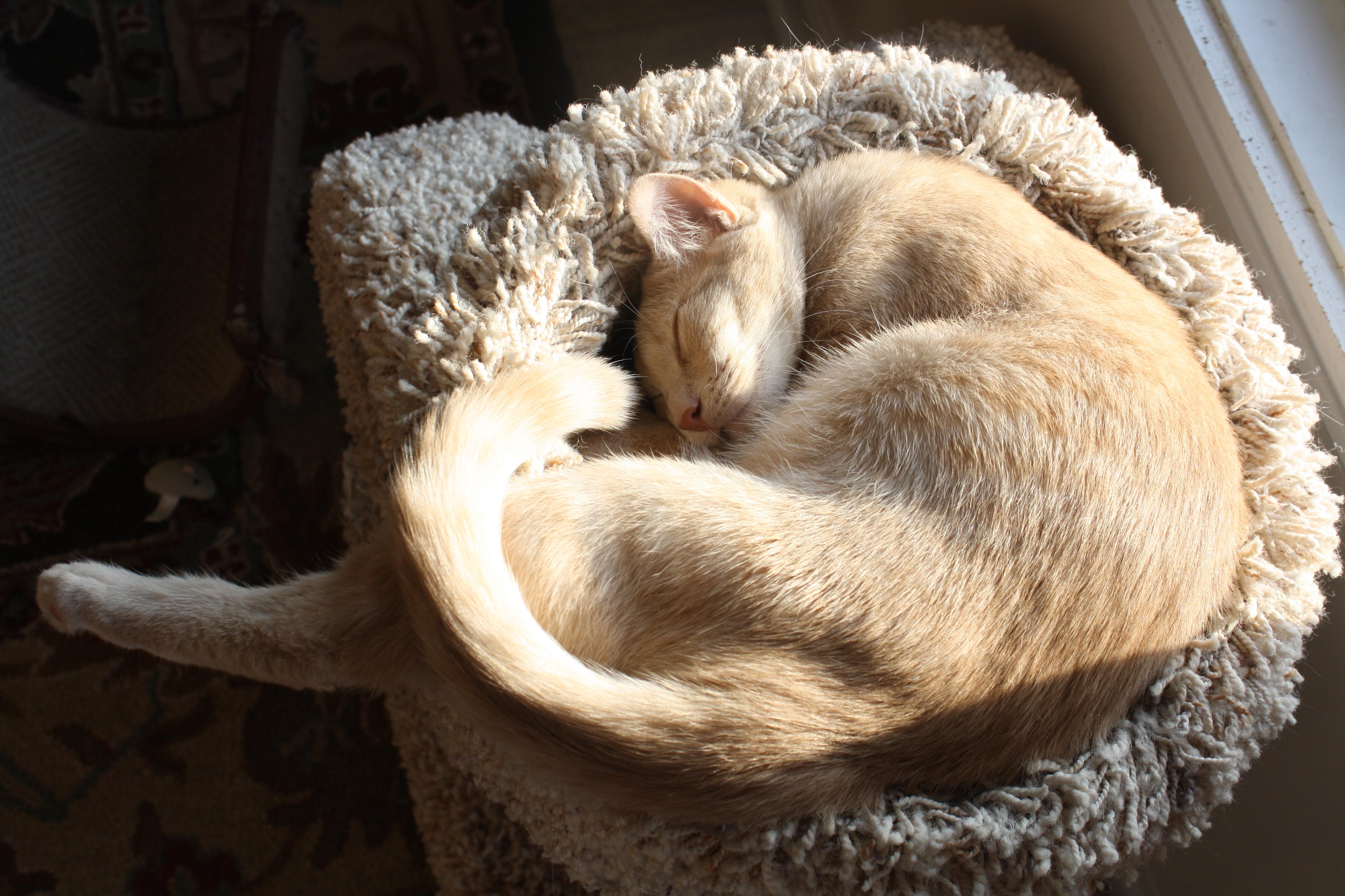 Arlo photo 3
