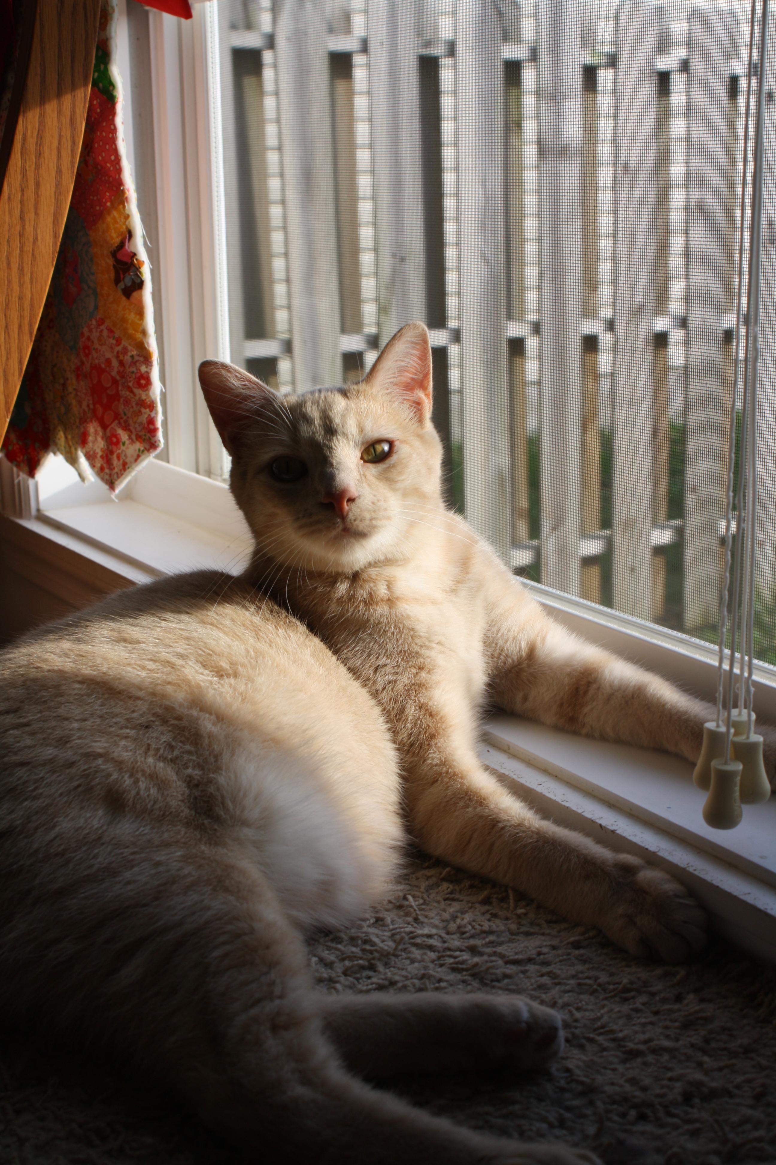 Arlo photo 4