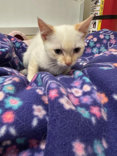 Robert — thumbnail 2