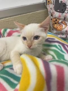 Robert — thumbnail 3