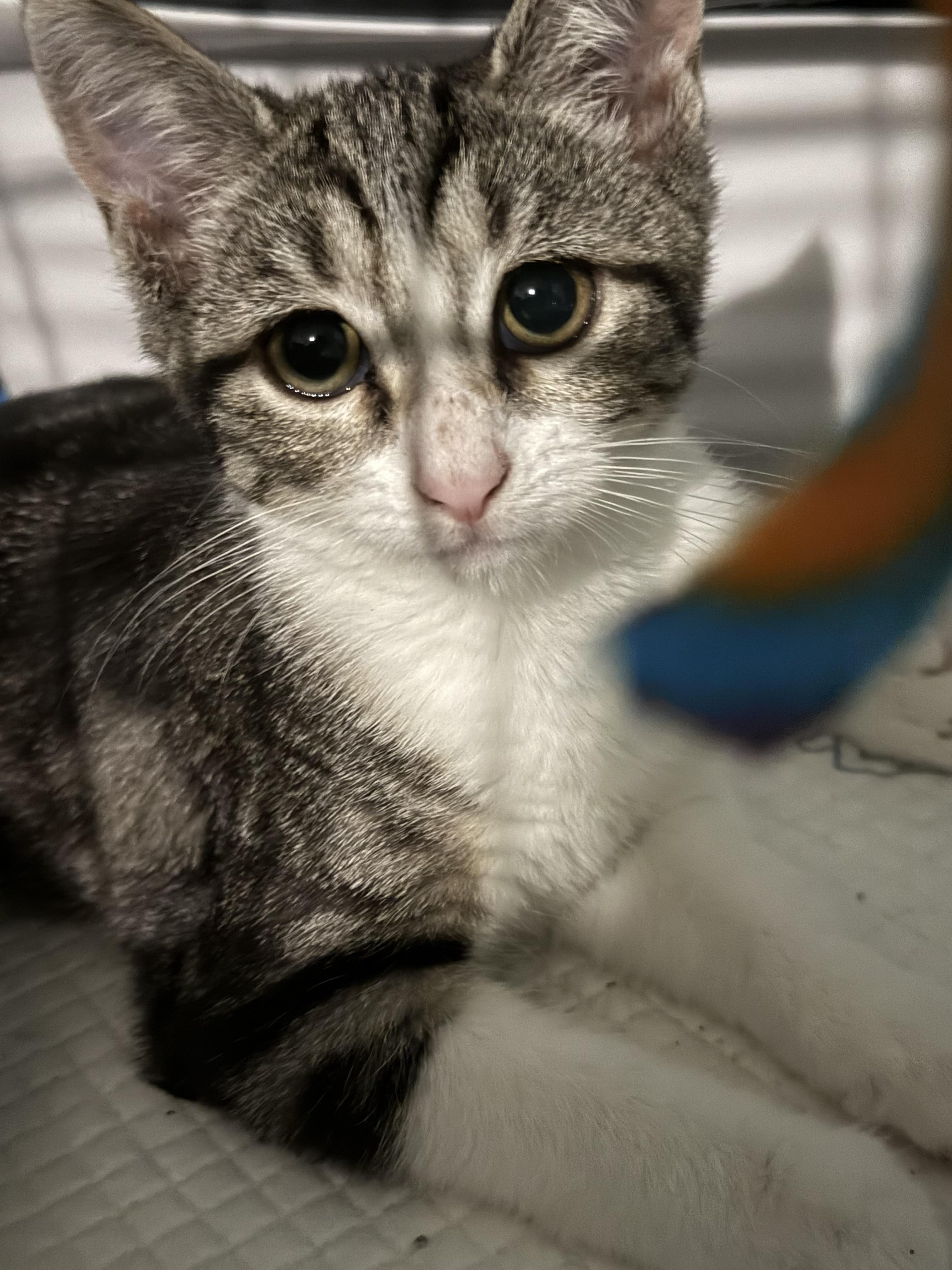 Fred And Wilma thumbnail 5