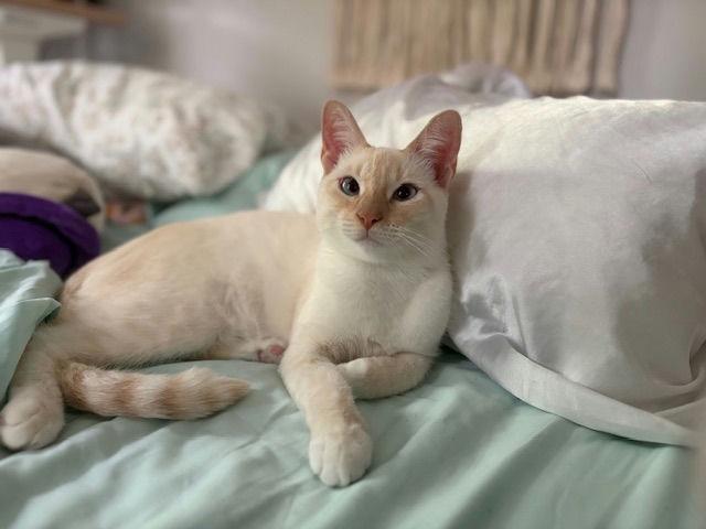 Nilla photo 3