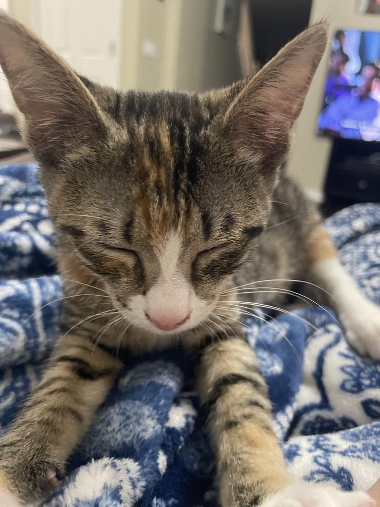 Ayleen — thumbnail 3