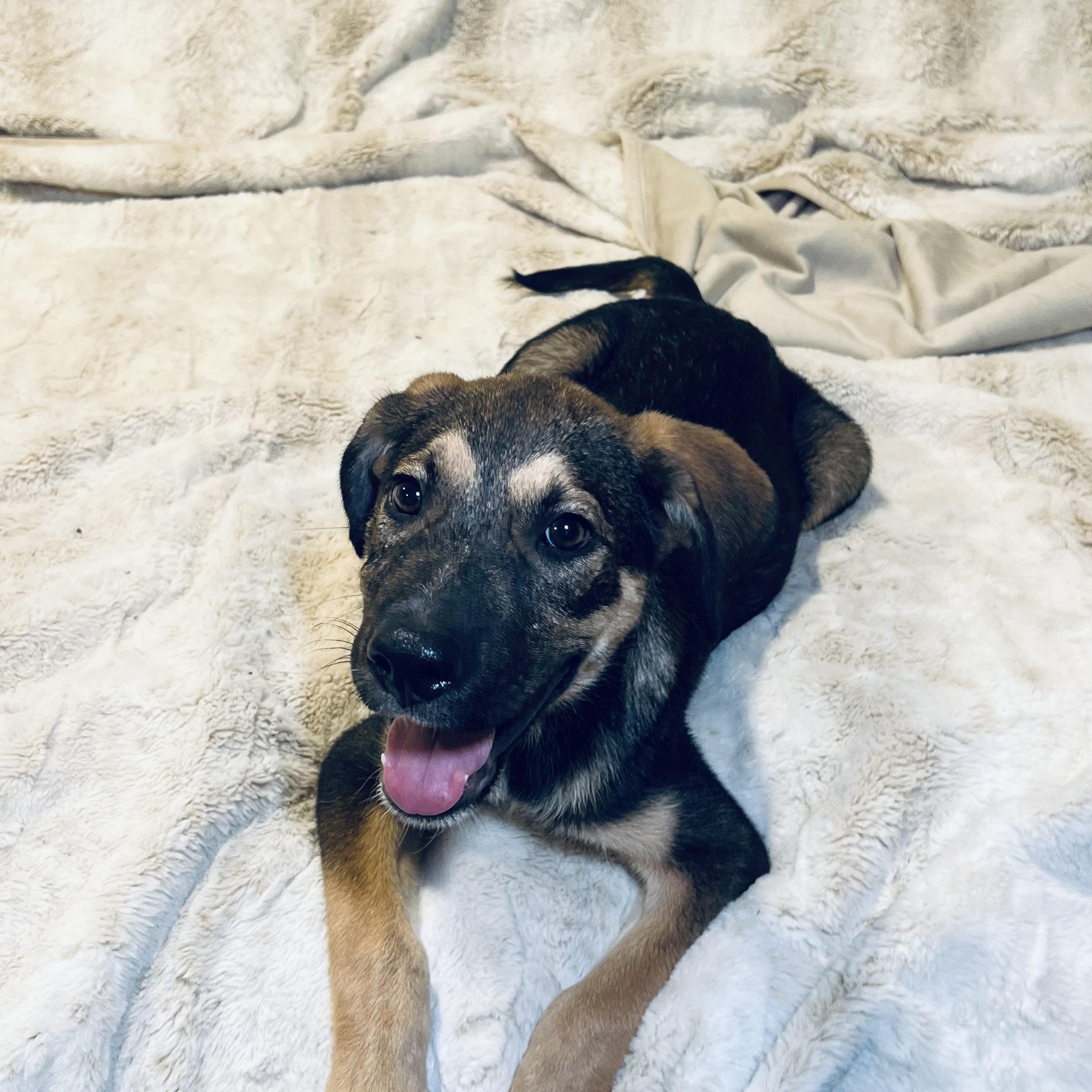 Pretzel! Sweet and cuddly!