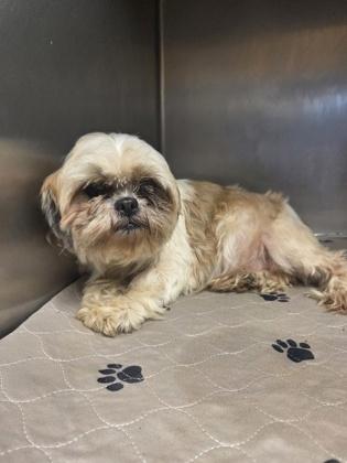 Champagne thumbnail 2