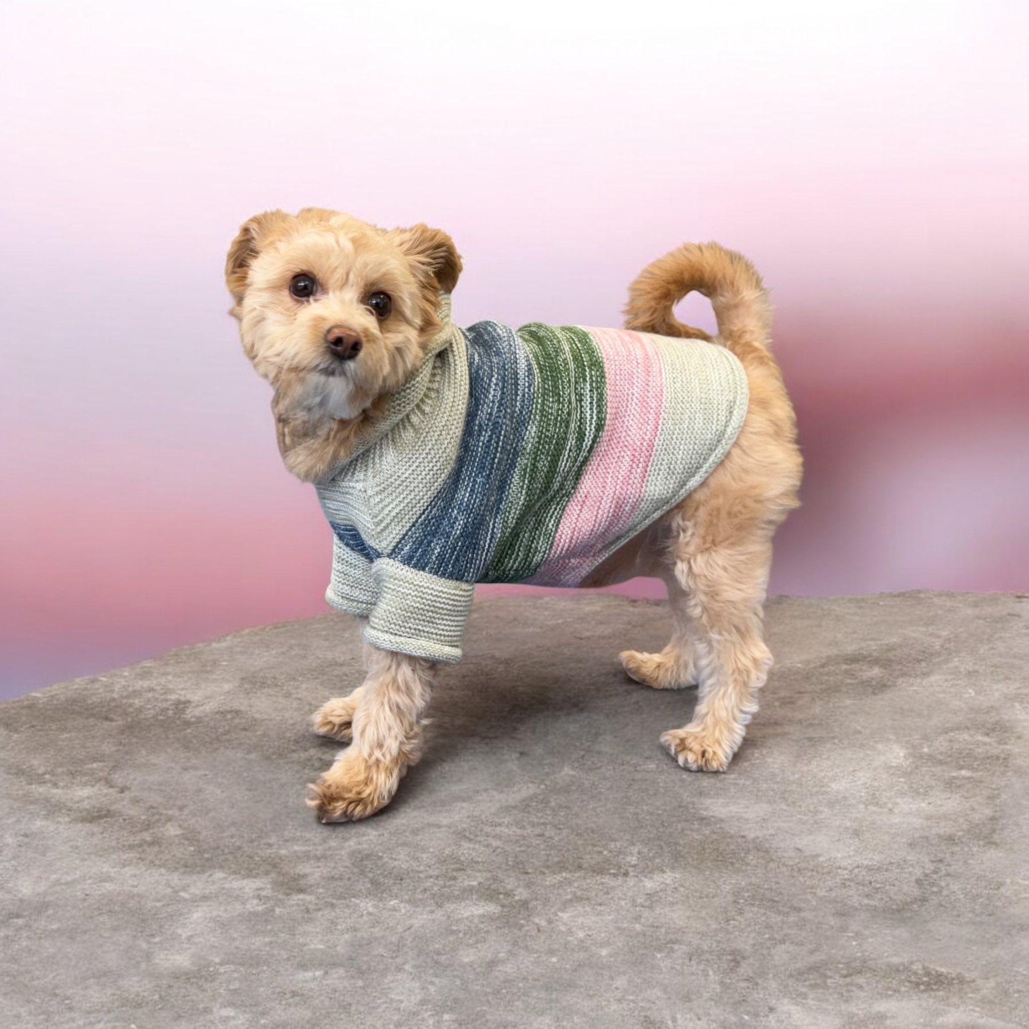 Enlarge Zara, a ADOPTABLE mixed breed in Yonkers, NY image 2/2