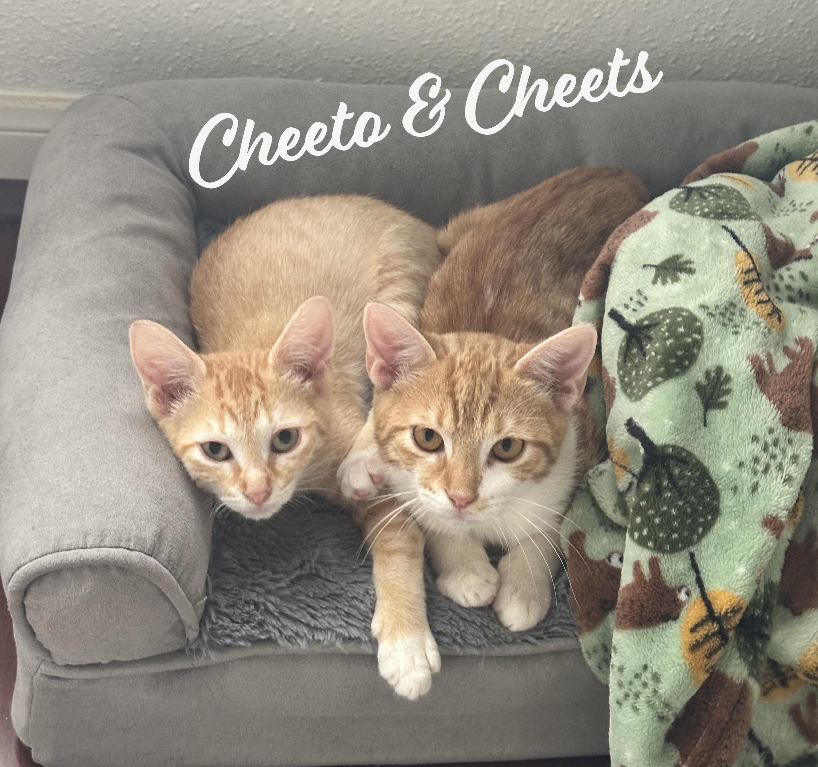 Cheets #bonded-to-Cheeto