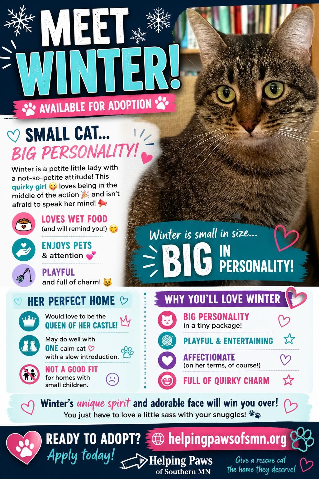 Winter, an adoptable mixed breed in Owatonna, MN image 3/5