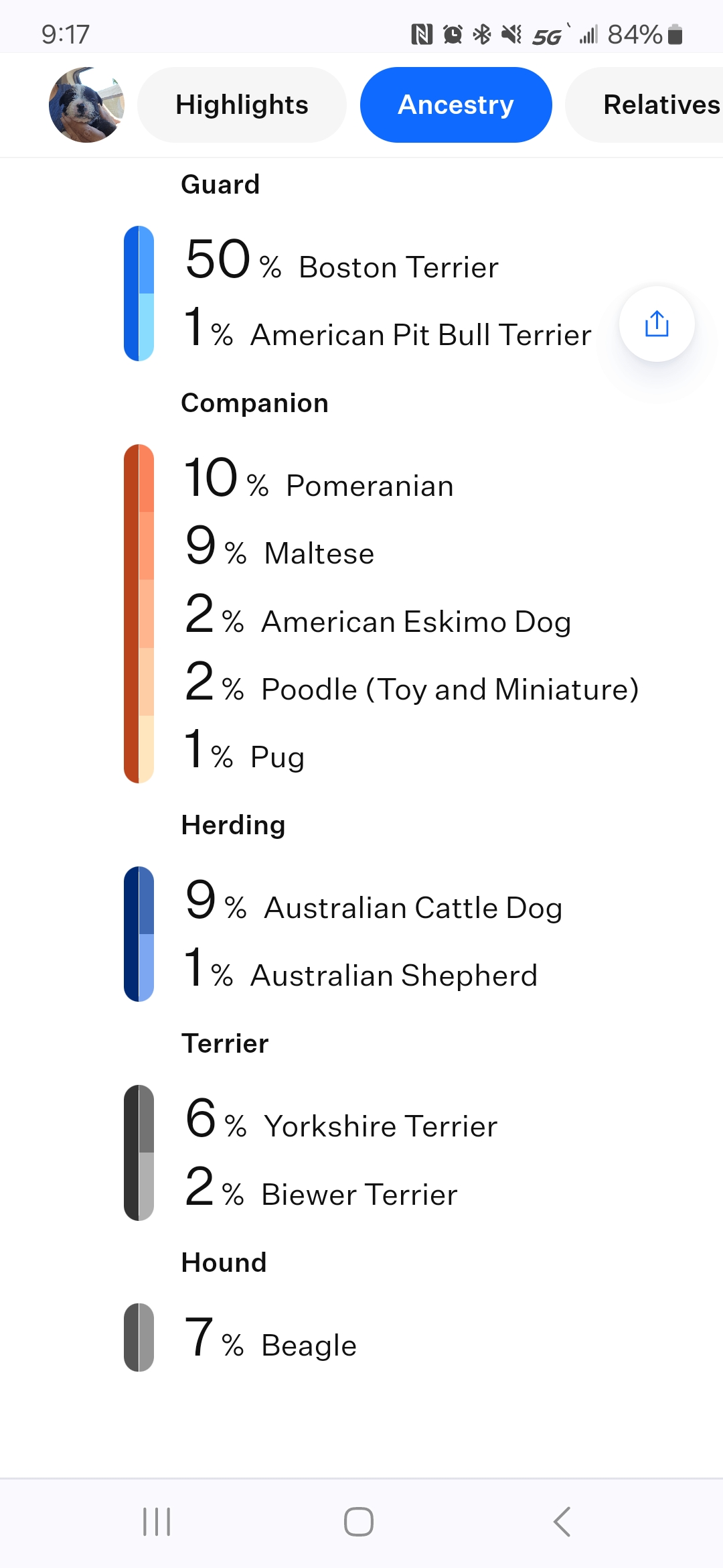 Enlarge Puppy #4, a Adopted Boston Terrier in Linton, IN image 2/2
