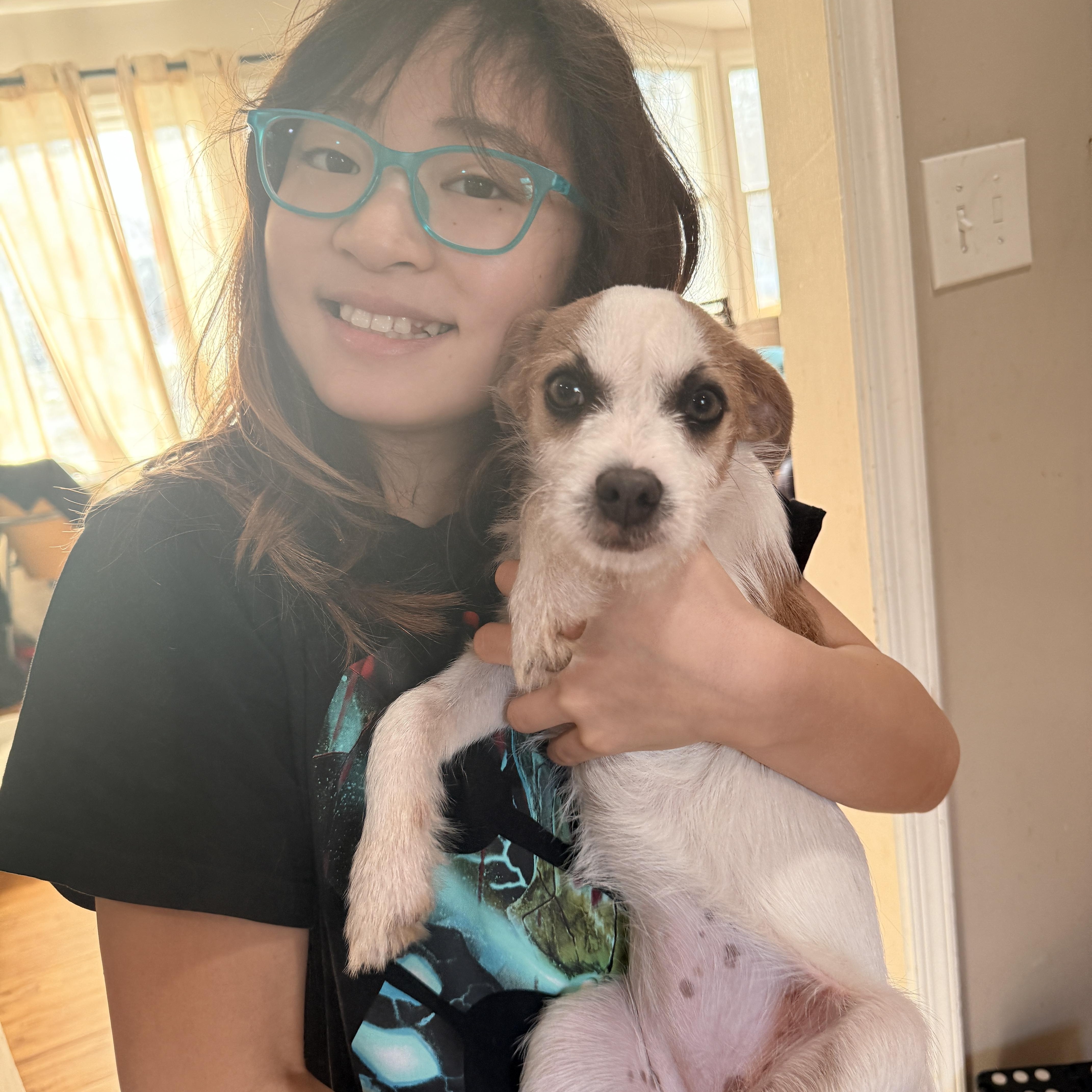 Enlarge Denim , an adopted mixed breed in Columbia, MD image 5/6