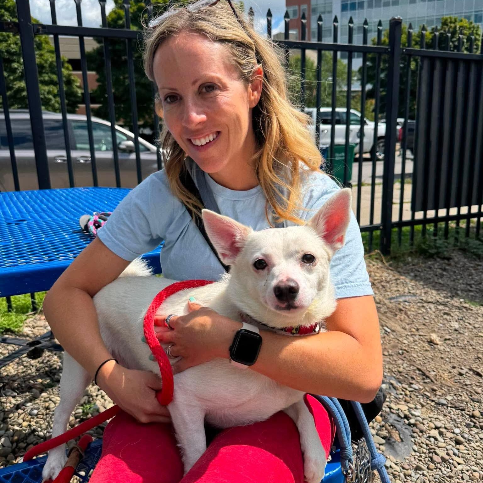 Kiko, an adopted mixed breed in Buffalo, NY image 2/4
