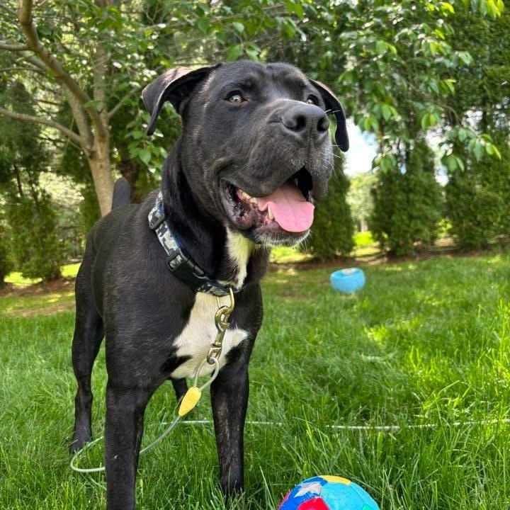 Max photo 5