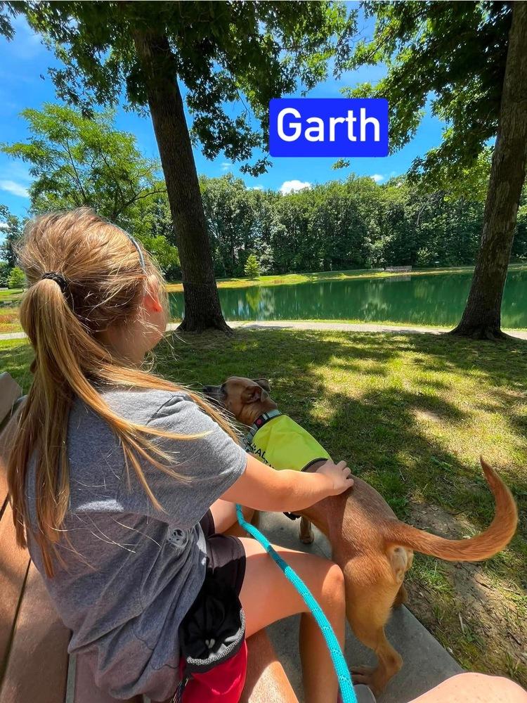 Enlarge Garth, a Adoptable mixed breed in Warrenton, MO image 6/6