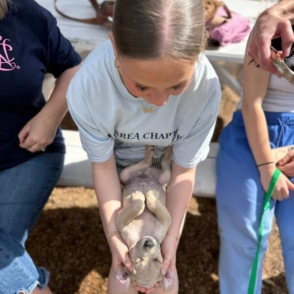 Pluto Space — thumbnail 5