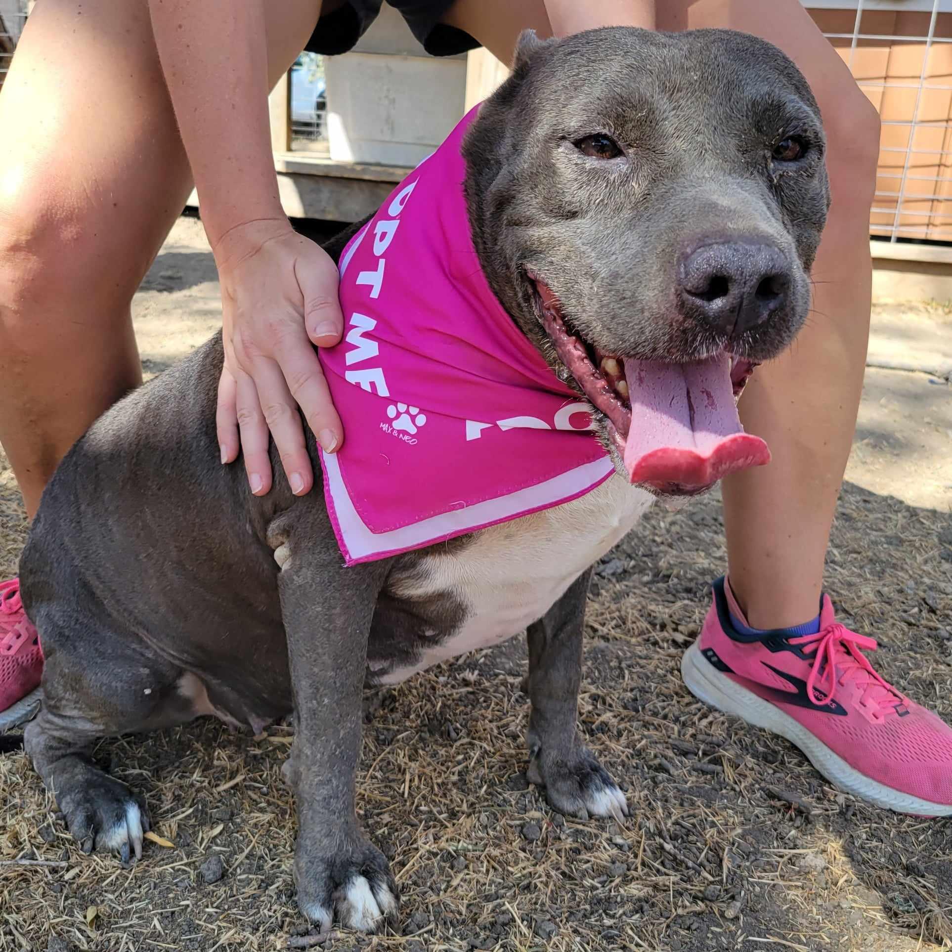 Chloe — thumbnail 3