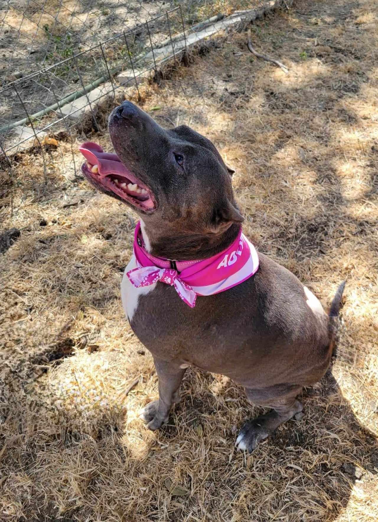 Chloe — thumbnail 4