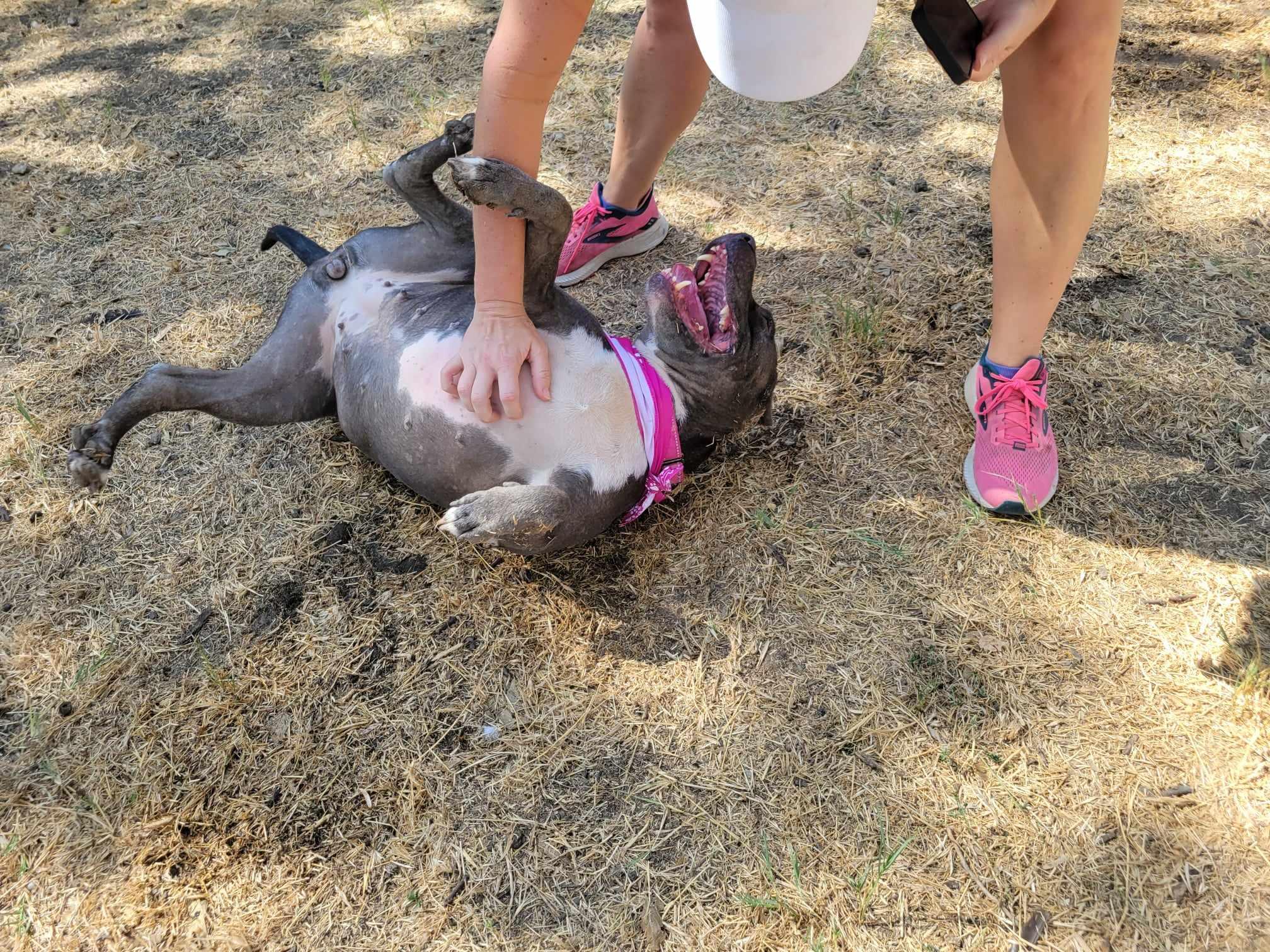 Chloe — thumbnail 5