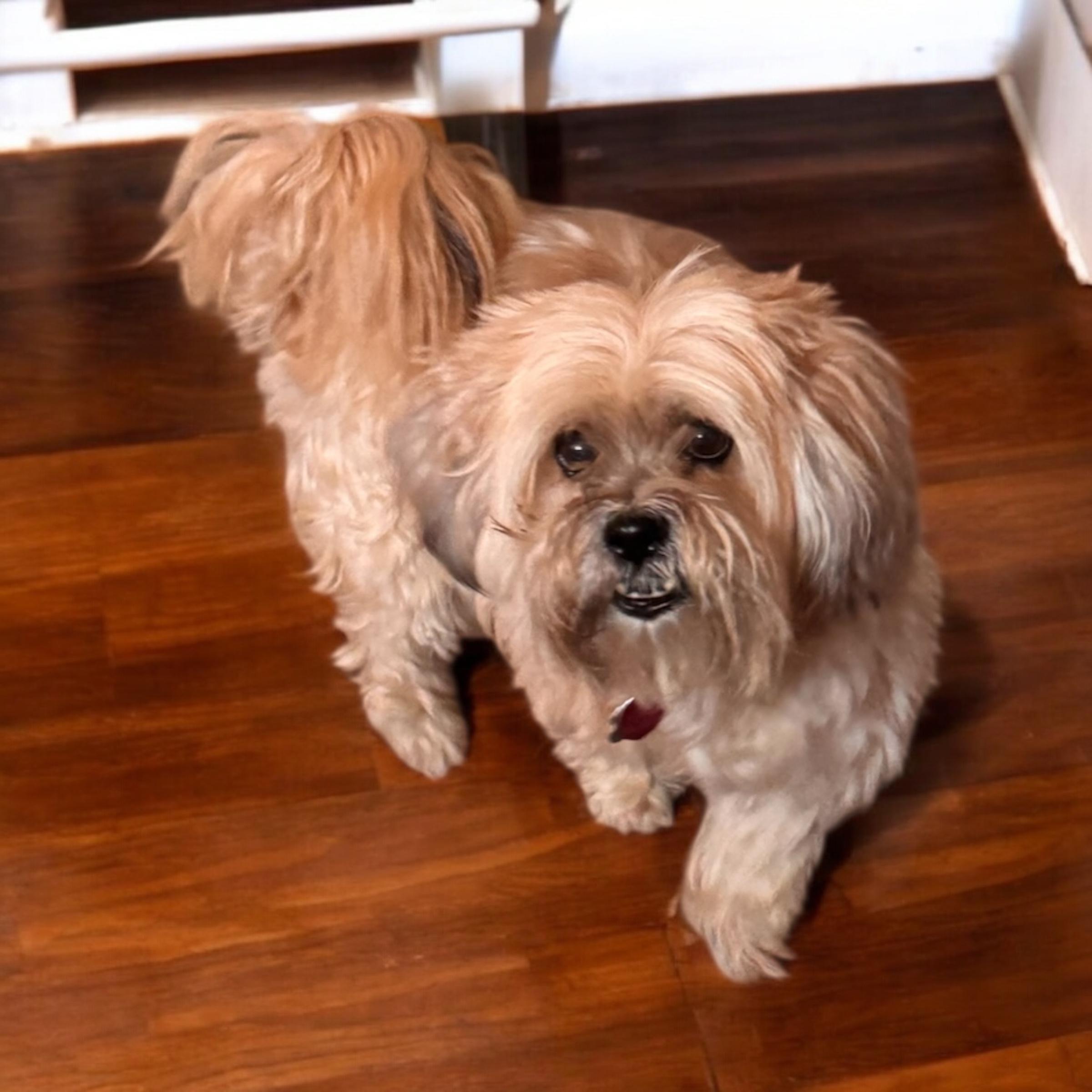 Maggie