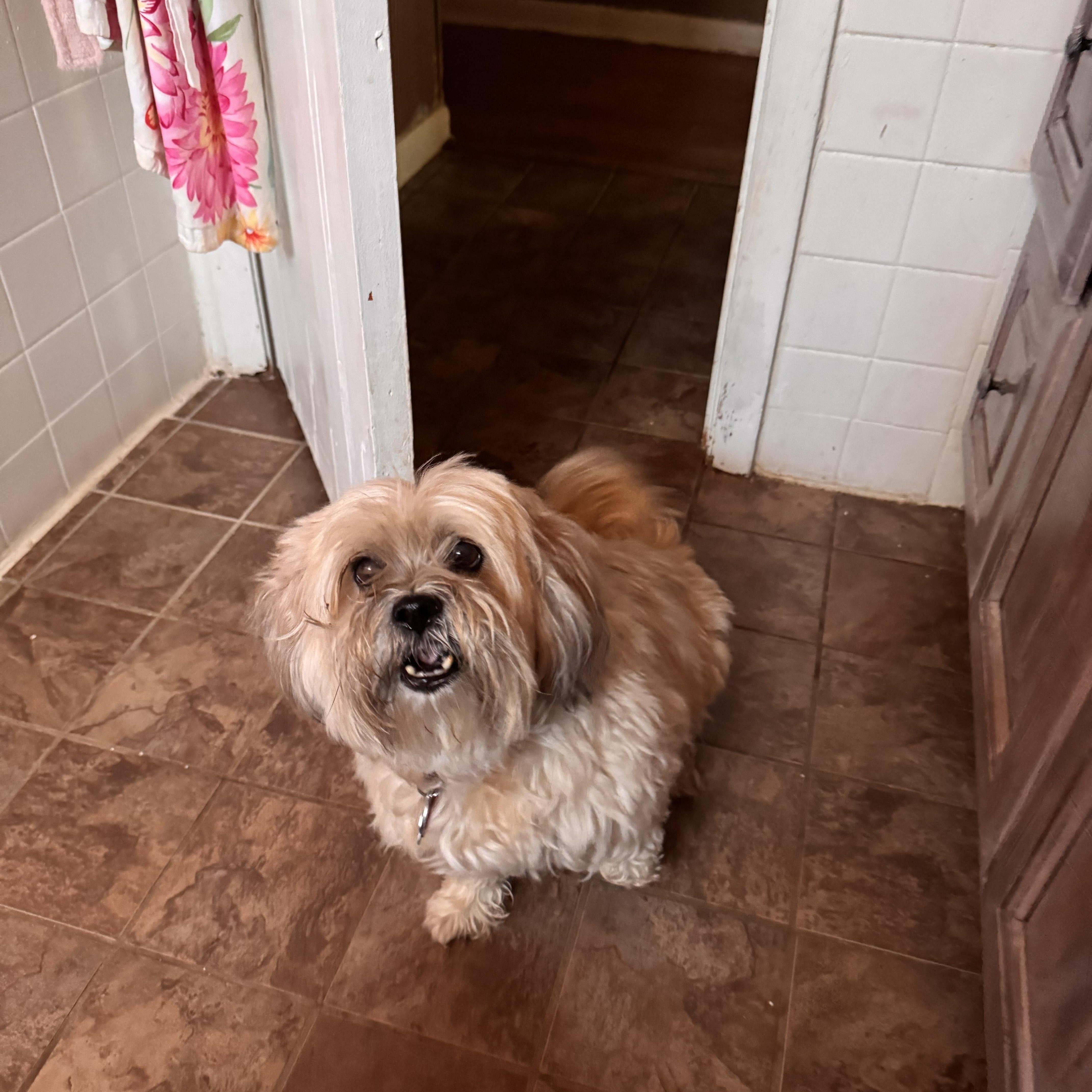 Maggie