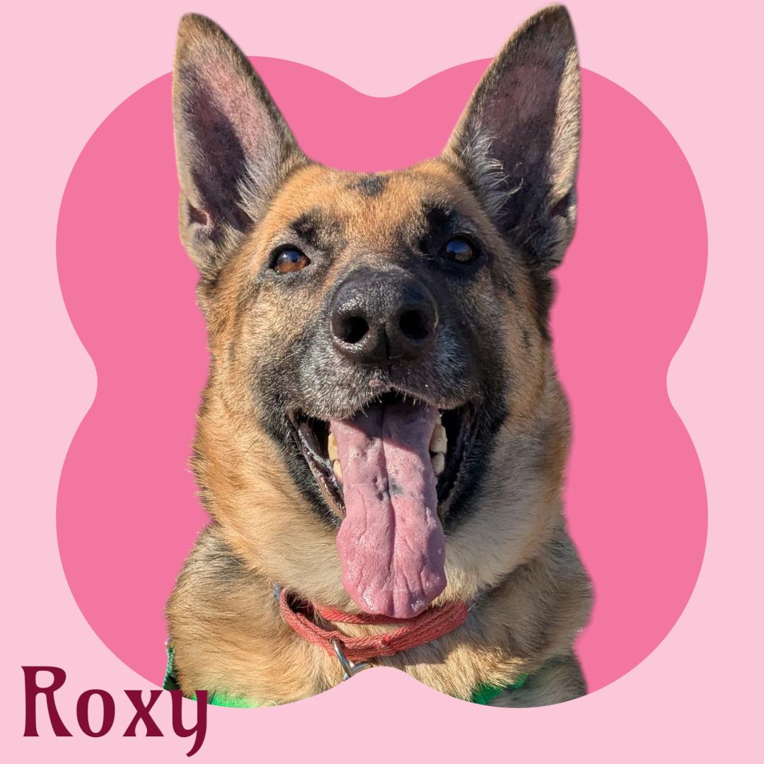 Roxy
