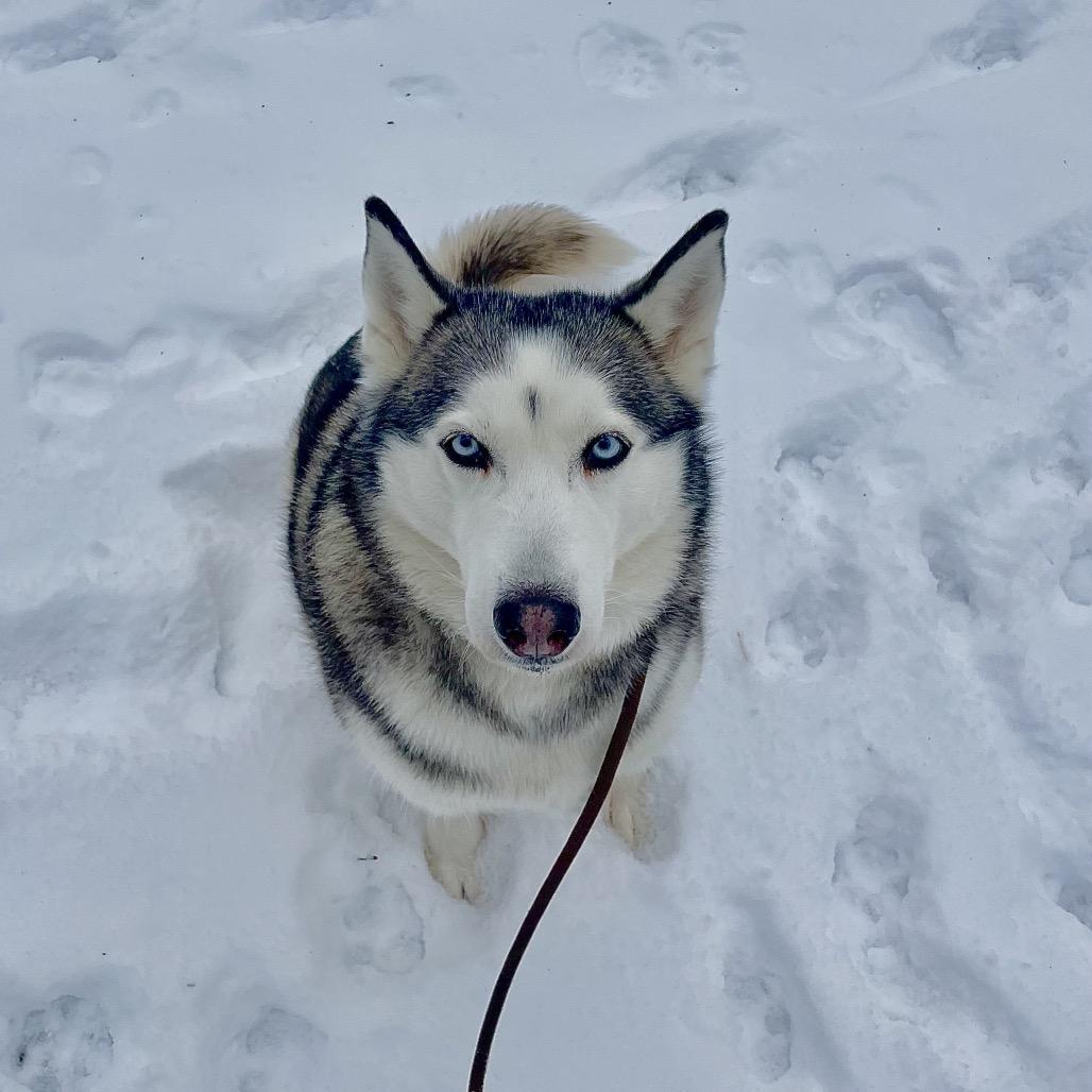 Penelope thumbnail 2