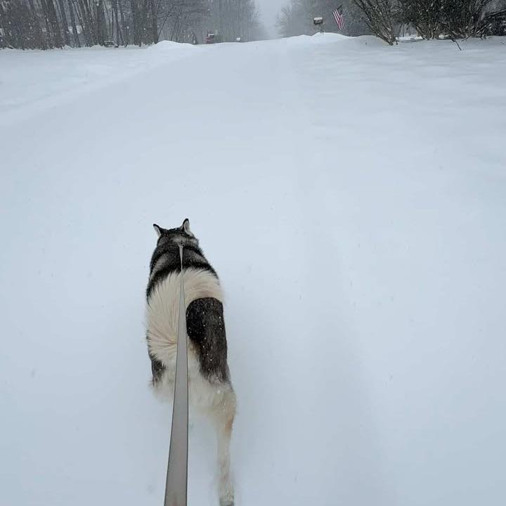 Penelope thumbnail 3