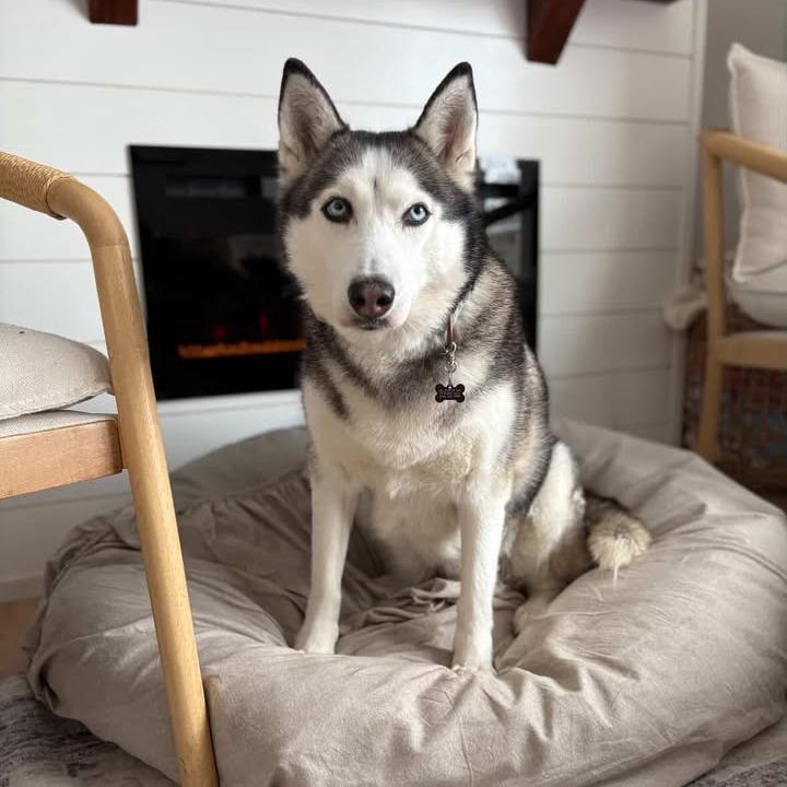 Penelope thumbnail 4