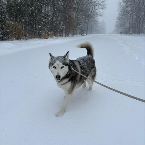 Penelope thumbnail 5