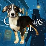 Ebenezer thumbnail 2